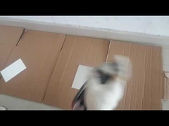 वाटरप्रूफ 400 मिलीलीटर ऑल पर्पस स्प्रे पेंट तेजी से सूखने वाला ऐक्रेलिक पेंट